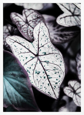 Whispers of Leaves Poster