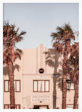 Palm Shadows Poster
