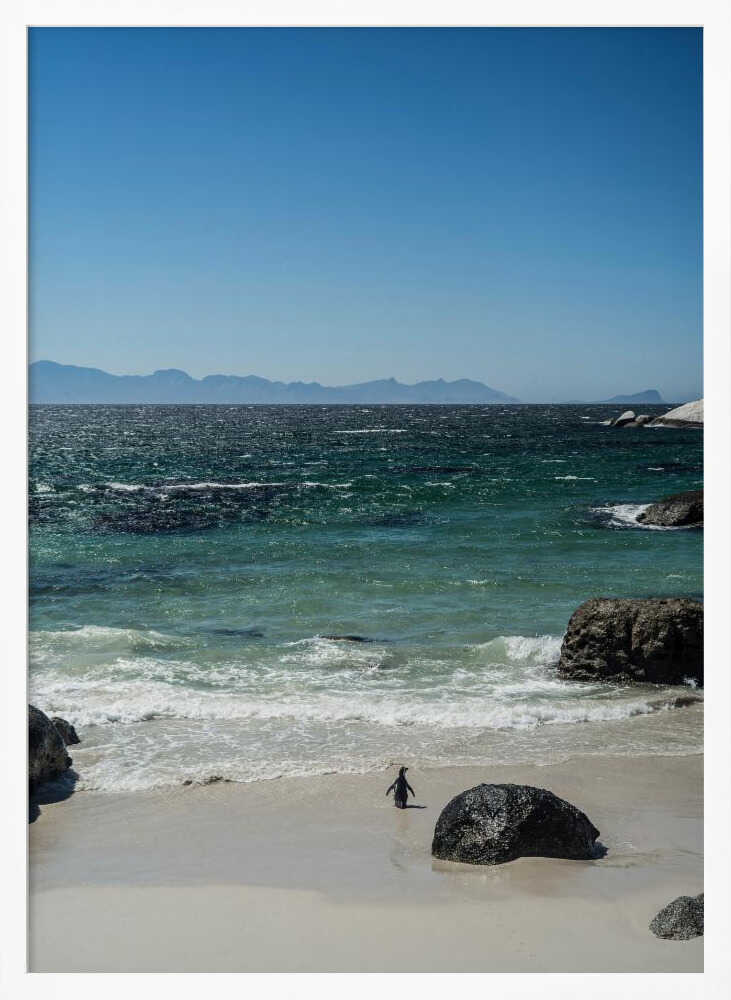 Penguin's Beach Walk Poster