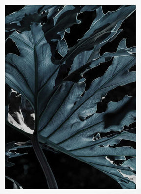 Leafy Shadowscape Poster