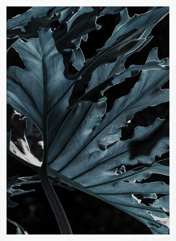 Leafy Shadowscape Poster