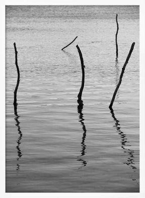 Silent Reflections Poster