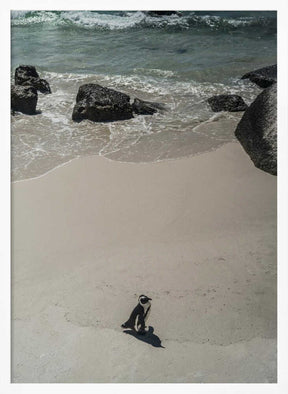 Lonely Beach Stroll Poster
