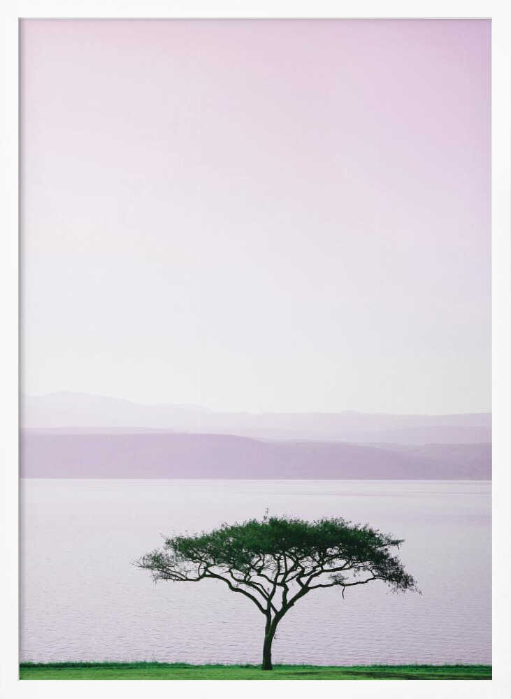 Tree By A Tranquil Lake Poster