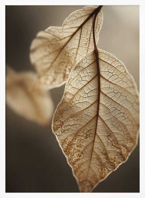 Ethereal Leaves Poster