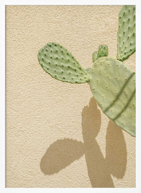 Cacti Shadowplay Poster