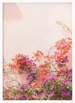 Pink Summer Poster
