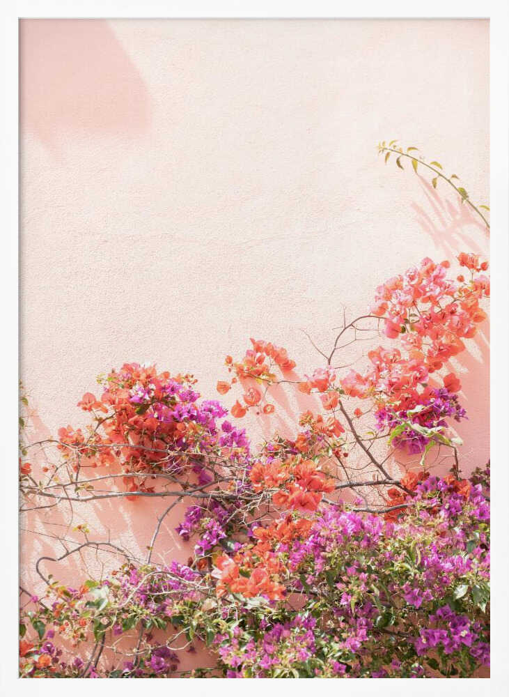 Pink Summer Poster