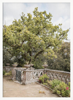 Botanical Garden Poster