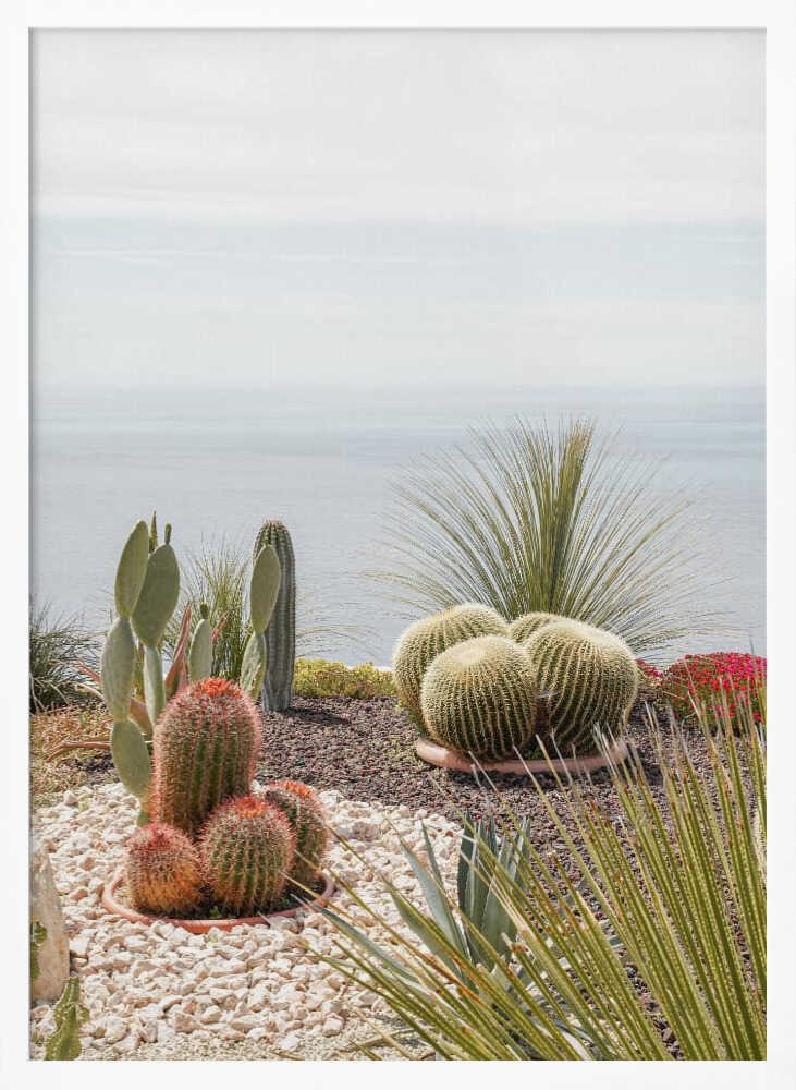 Botanical Garden Poster