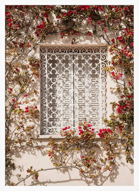 The Red Frame Poster