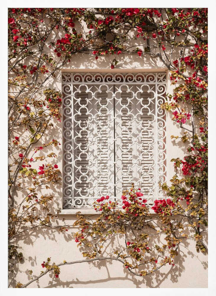 The Red Frame Poster