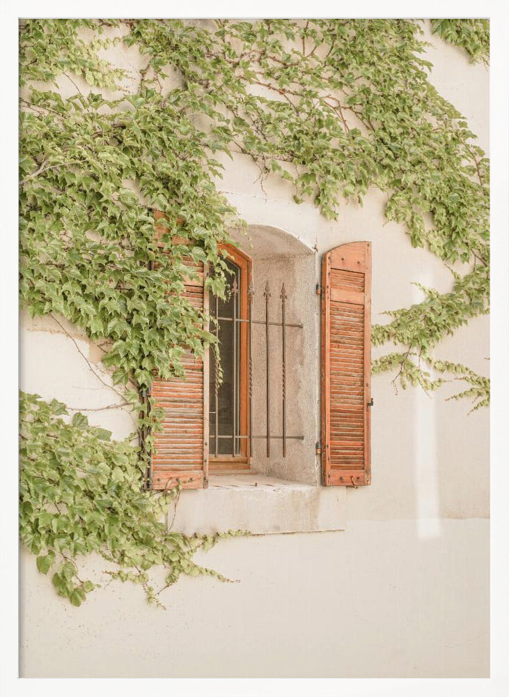 French Shutters Poster