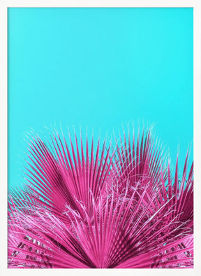 Electric Pink Palm Fronds