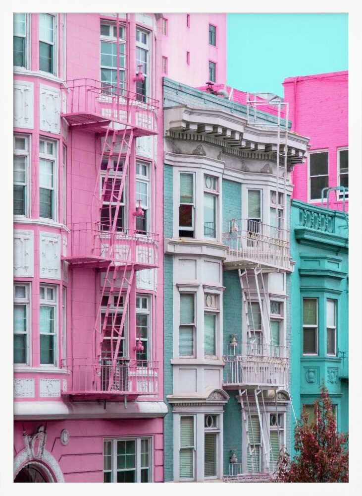 Pink and Blue Row Houses in San Francisco Poster