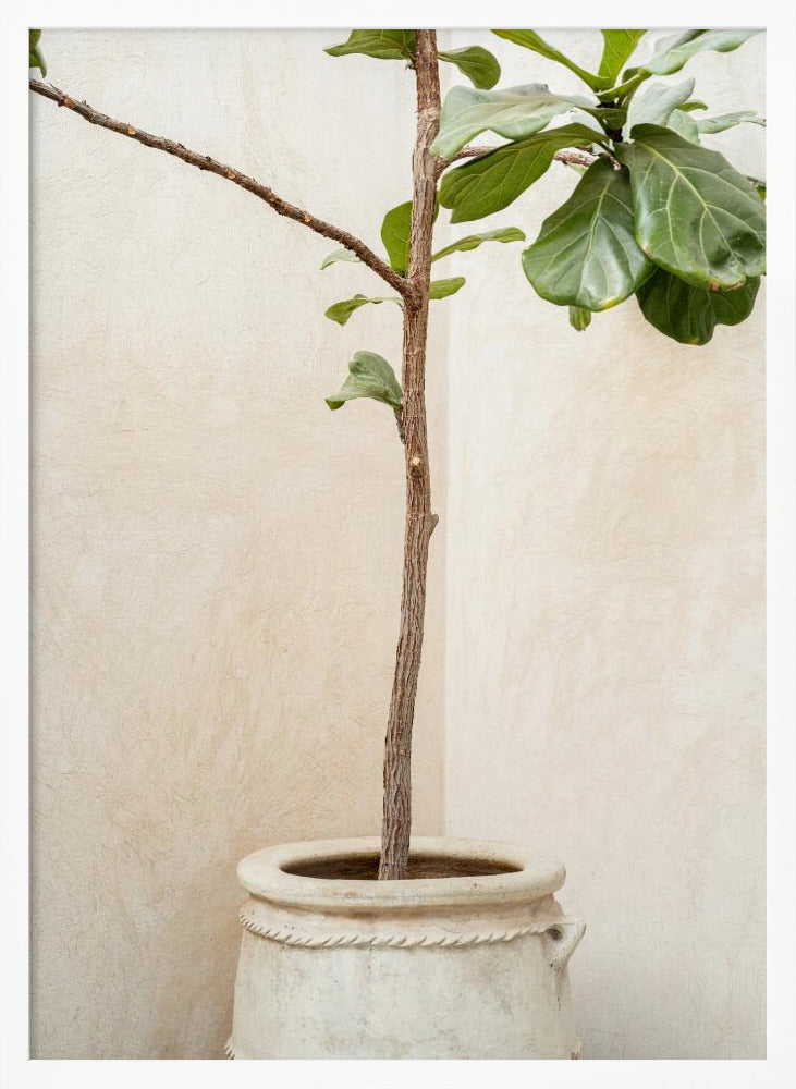 Tree In a Pot Poster