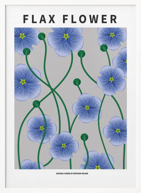 Flax flower - National flower of Ireland Poster