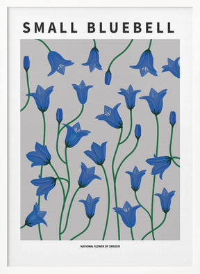 Small Bluebell - National flower of Sweden Poster