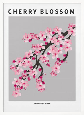 Cherry blossom - National flower of Japan Poster