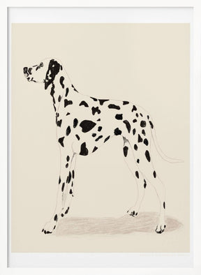 Pandc Dalmation Poster