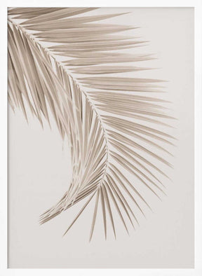 Tan Leaf Poster