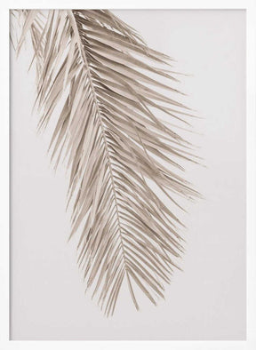 Tan Leaf 2 Poster