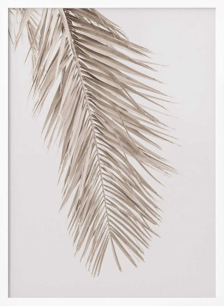 Tan Leaf 2 Poster
