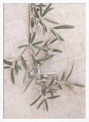 Spanish Tiles Poster