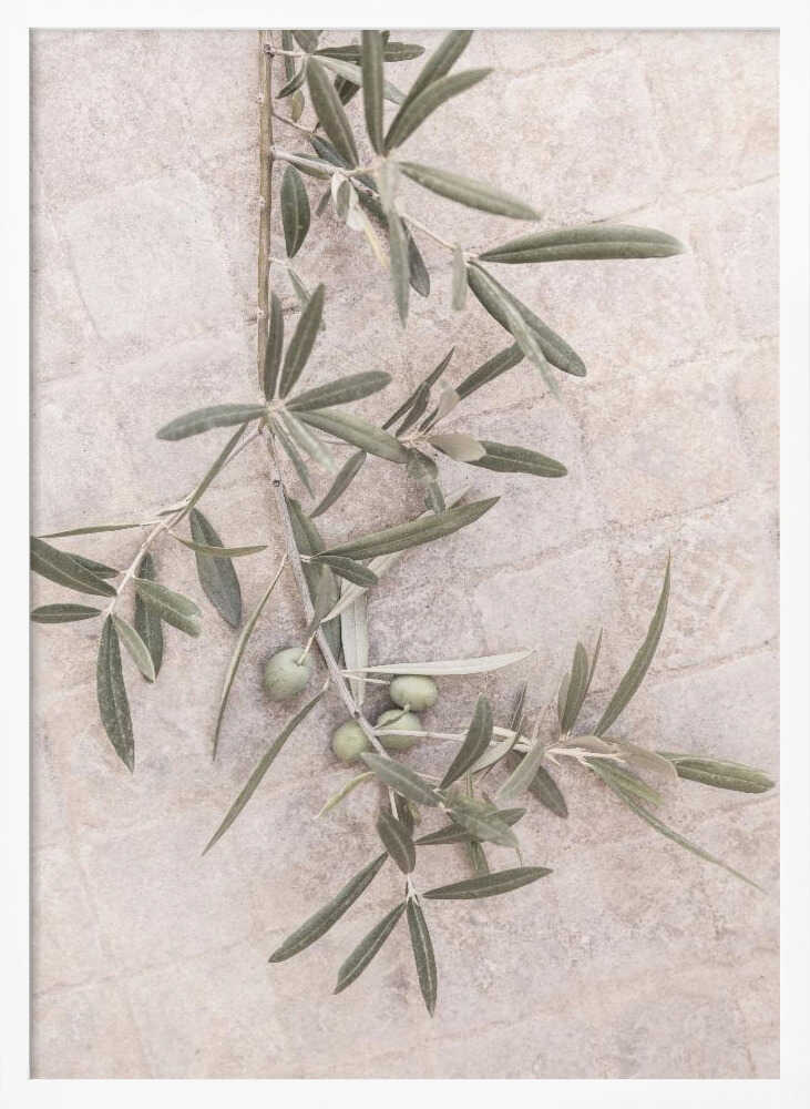 Spanish Tiles Poster