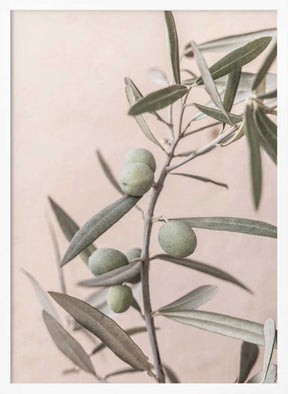 Olives Poster