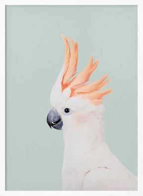 Cockatoo on Mint Poster
