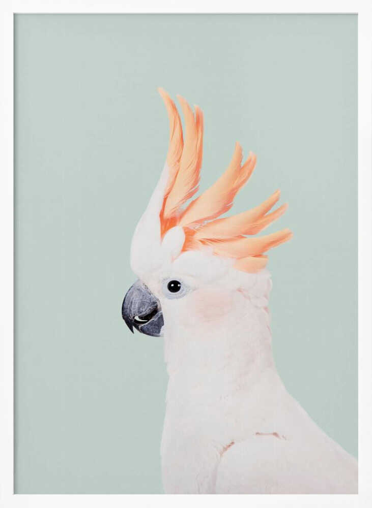 Cockatoo on Mint Poster