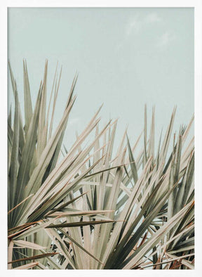 tropical vibes Poster