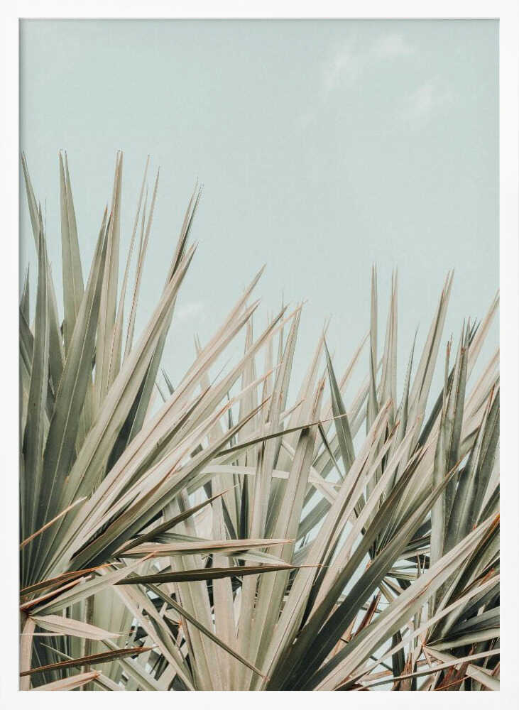 tropical vibes Poster