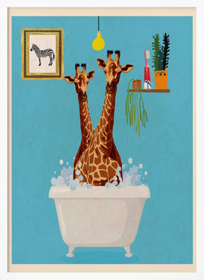 Giraffes In Bath Poster