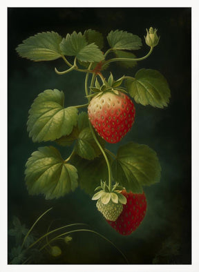 Strawberries Poster