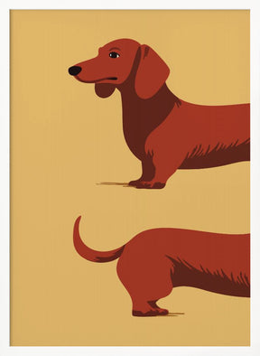 Dachshund Poster