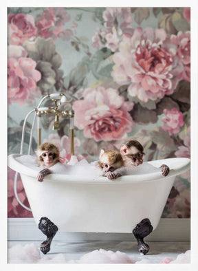 Blossom Bath Poster