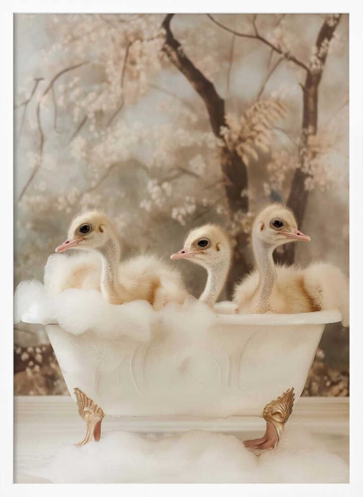 Bubbly Ostrich Trio Poster