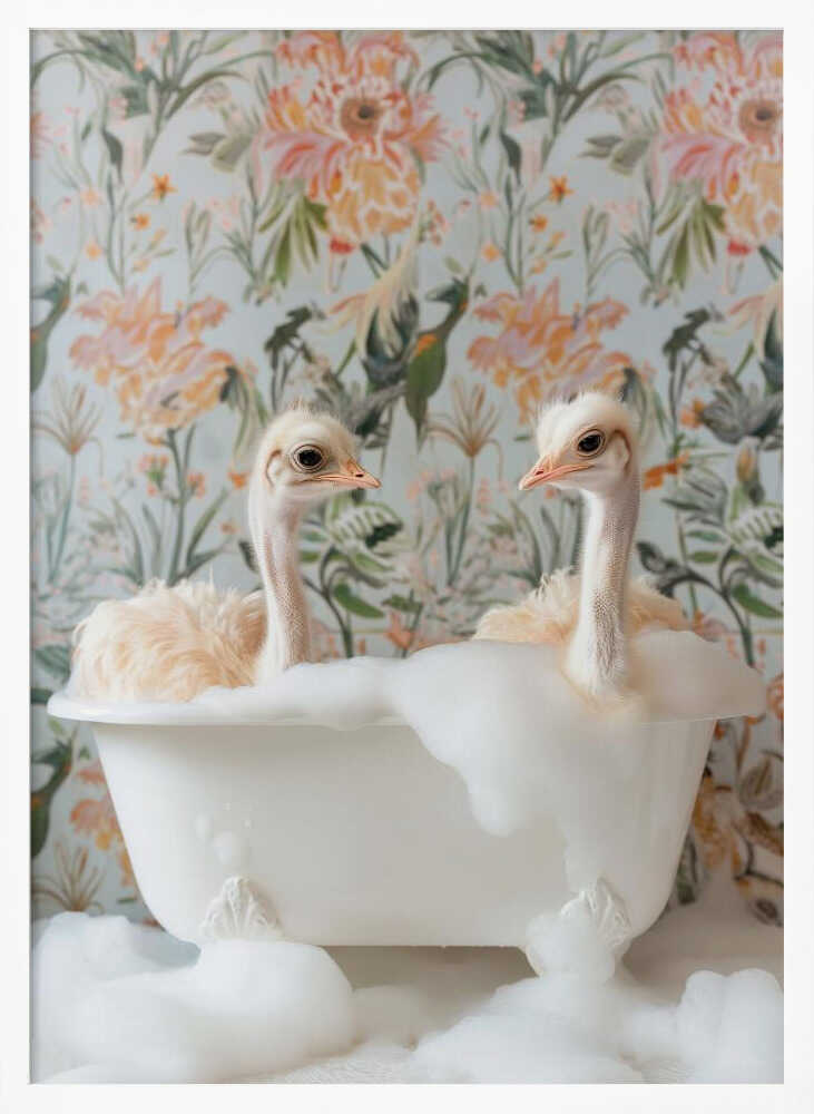 Feathered Fun Poster