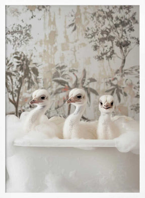 Ostrich Bath Time Delight Poster