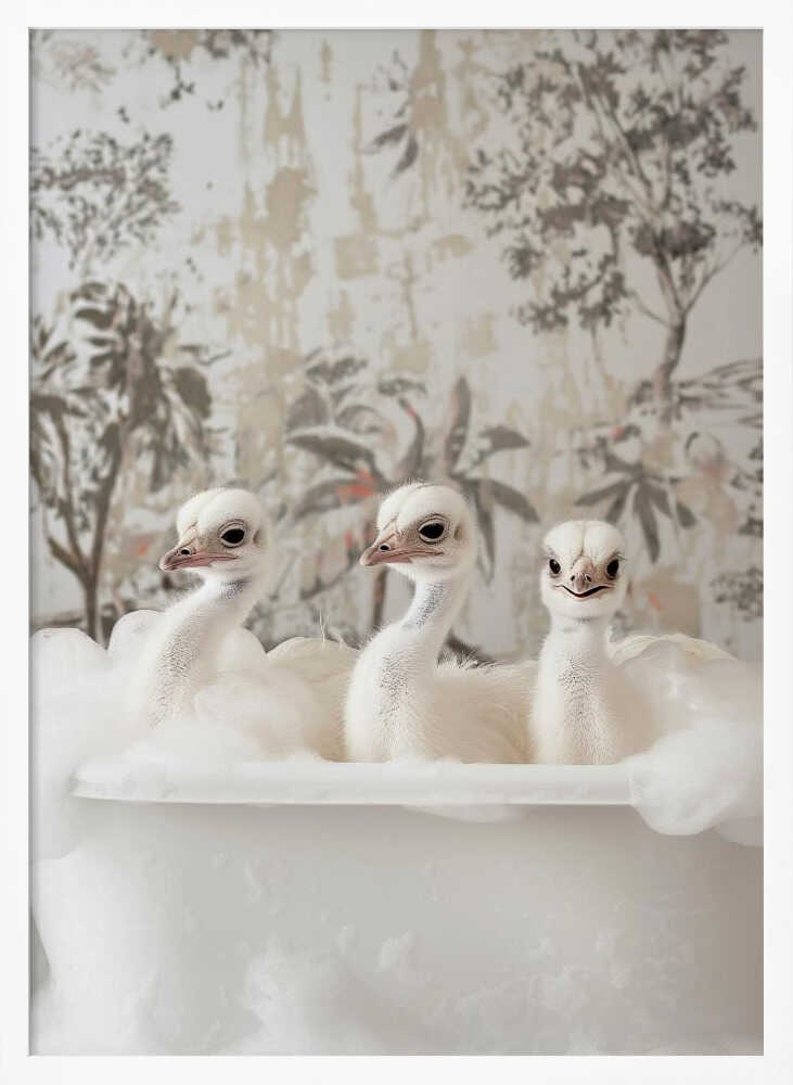 Ostrich Bath Time Delight Poster