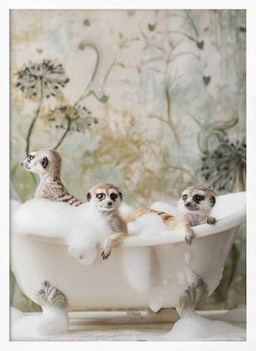Meerkat Bubble Bath Poster