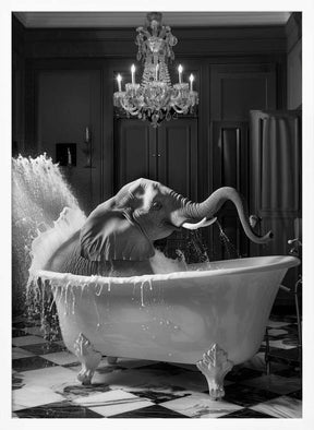 Big Elephant Splash Poster