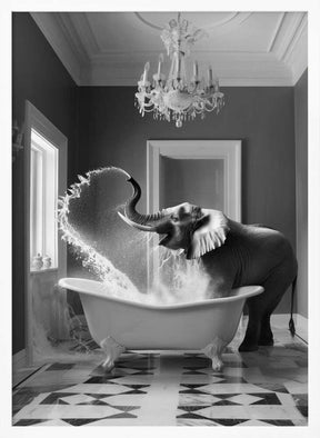 Joyful Elephant Bath Time Poster