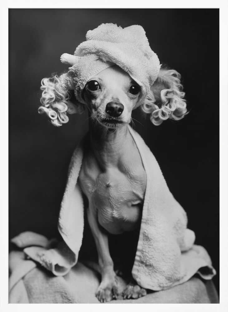 Spa Day Pooch Poster