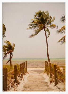 Tropical Paradise Vibes Poster