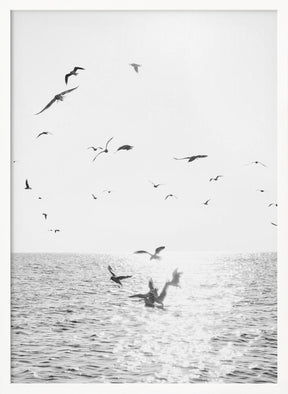 Seagulls At Sea Poster