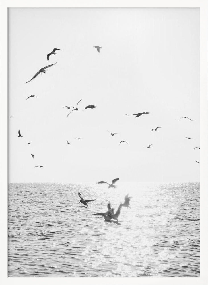 Seagulls At Sea Poster