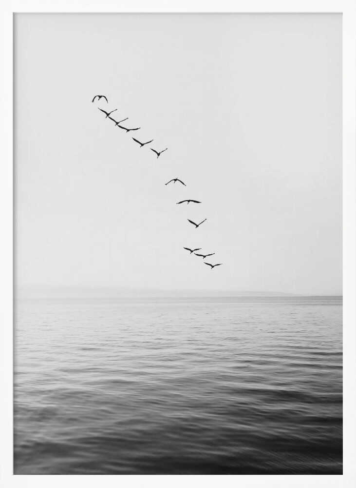 Flying Birds Poster